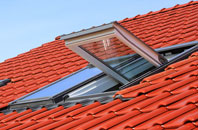 Edern roof window